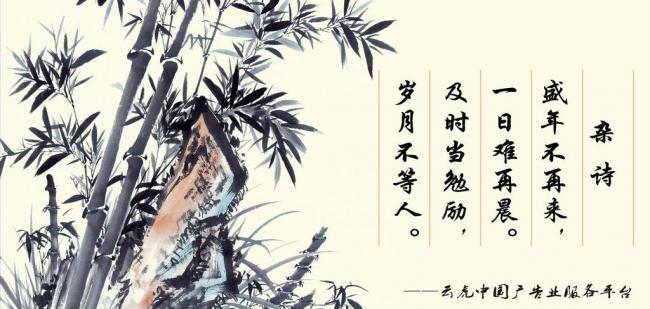 辦公室風(fēng)水?dāng)[件，助你事業(yè)風(fēng)生水起